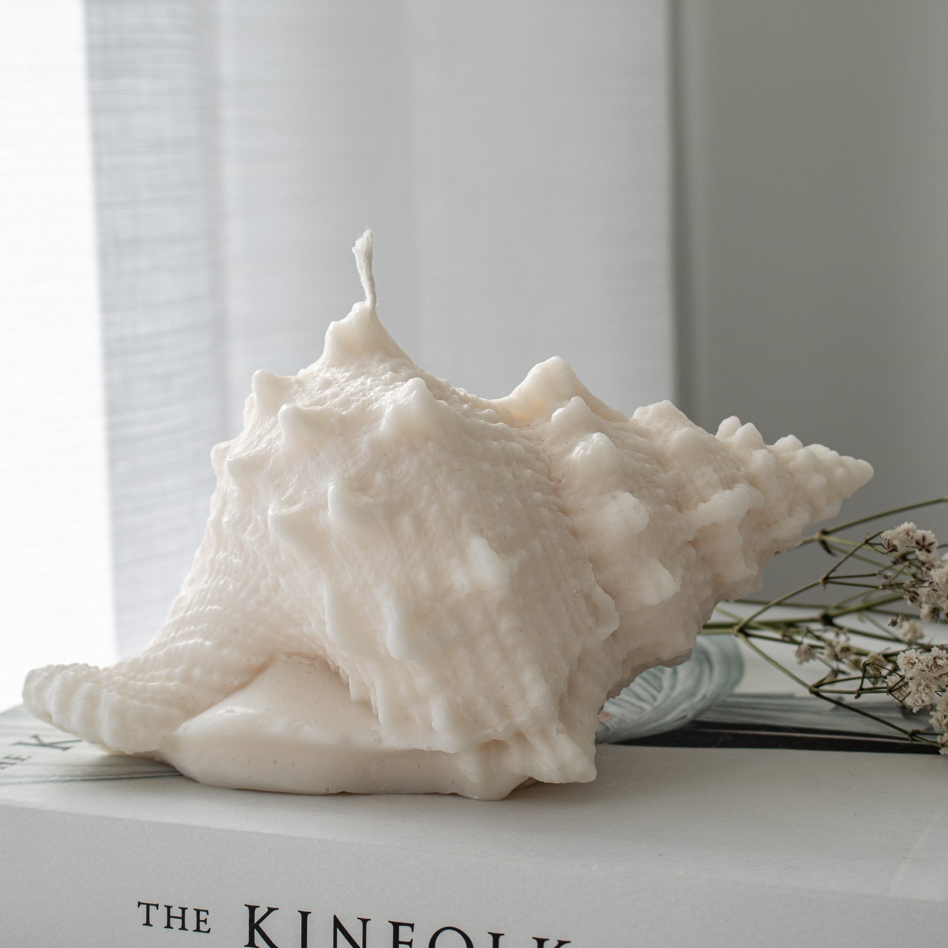 Sea shell home decor