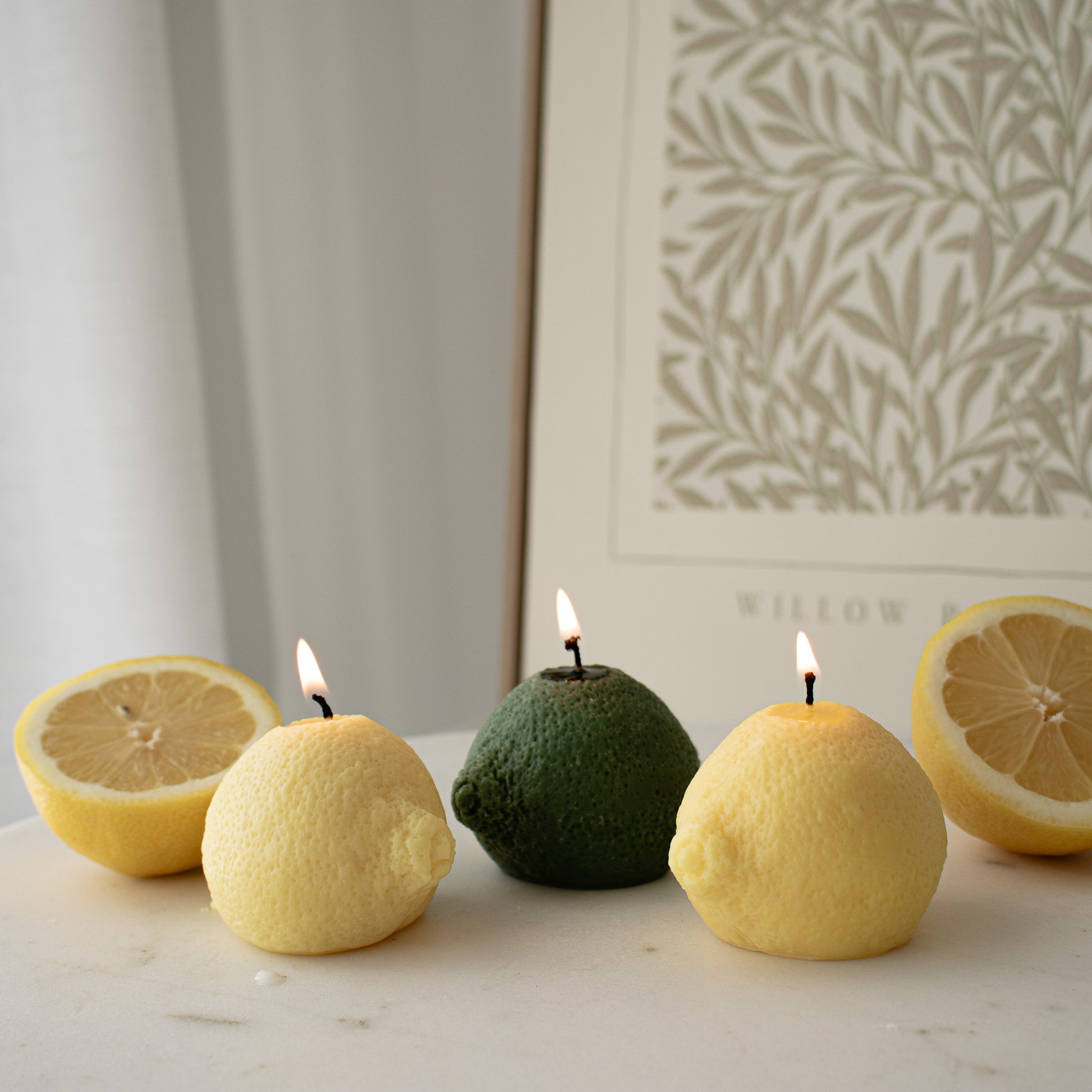 candle favors party decor lemon and lime shaped 