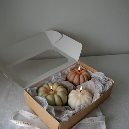Seasonal soy candles shaped like pumpkins, boxed for gifting