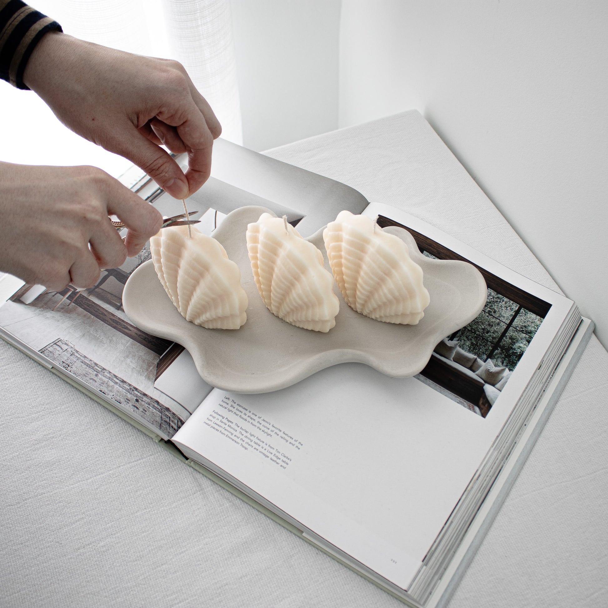 clamshell shaped candles