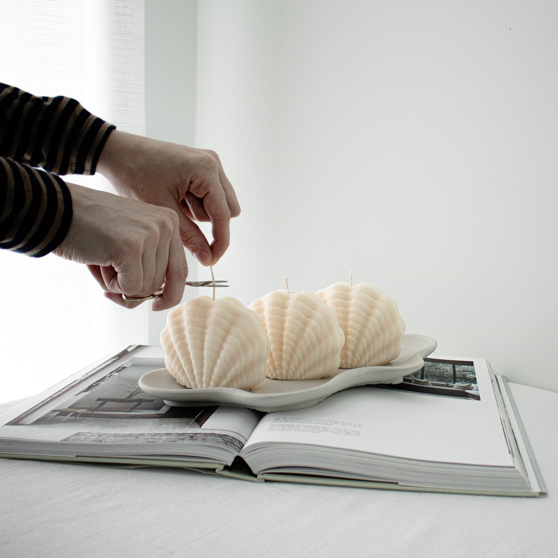 seashell shaped candle decor