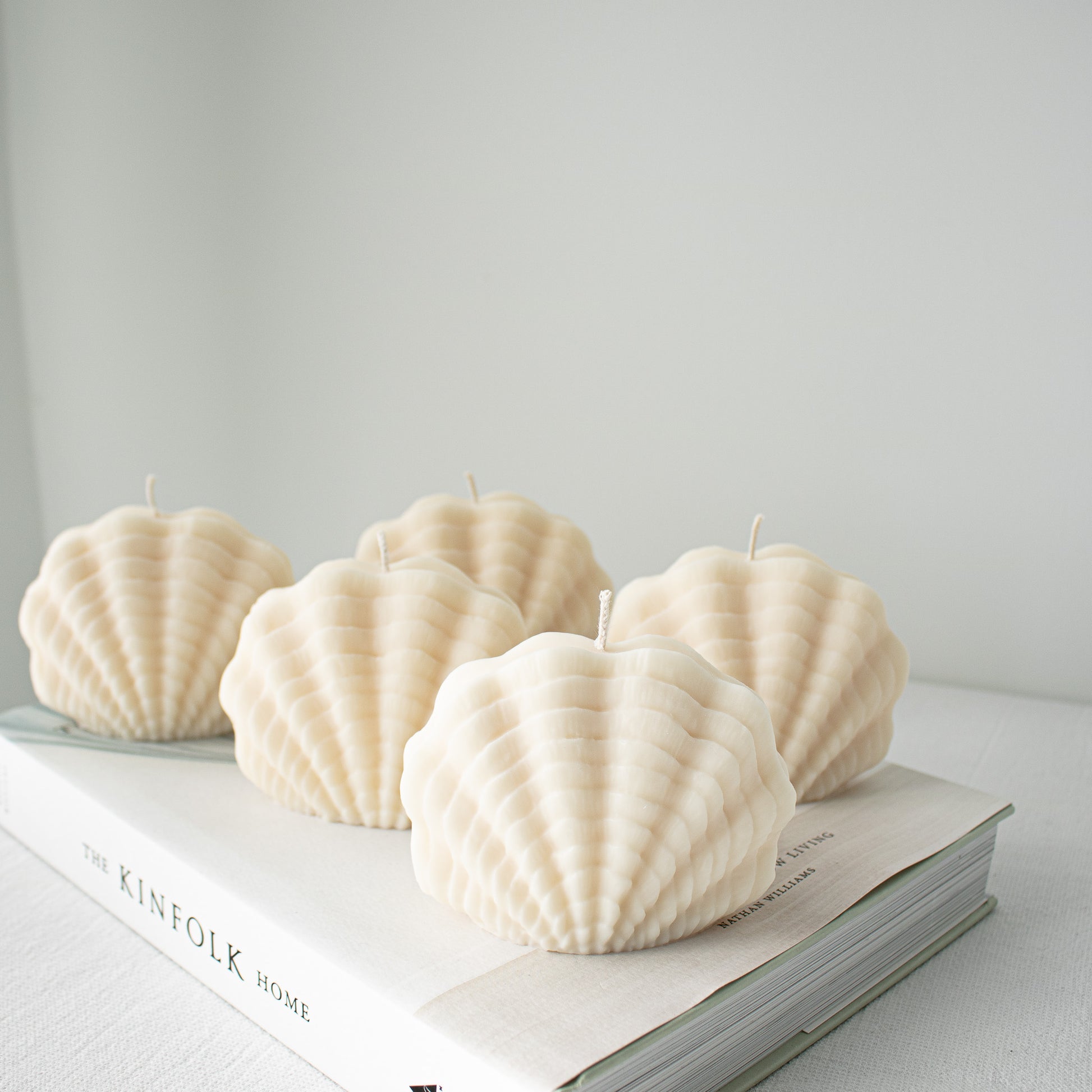 sea shell candles in cream white color