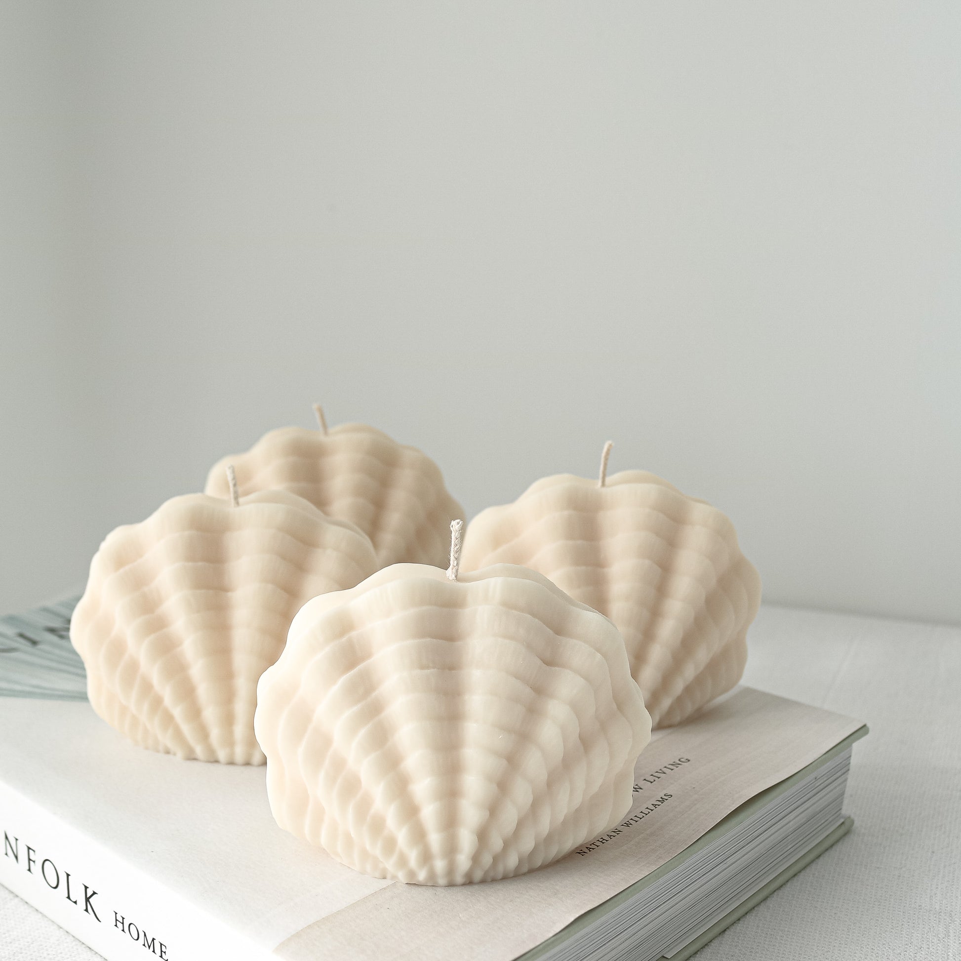 Shell-shaped candles