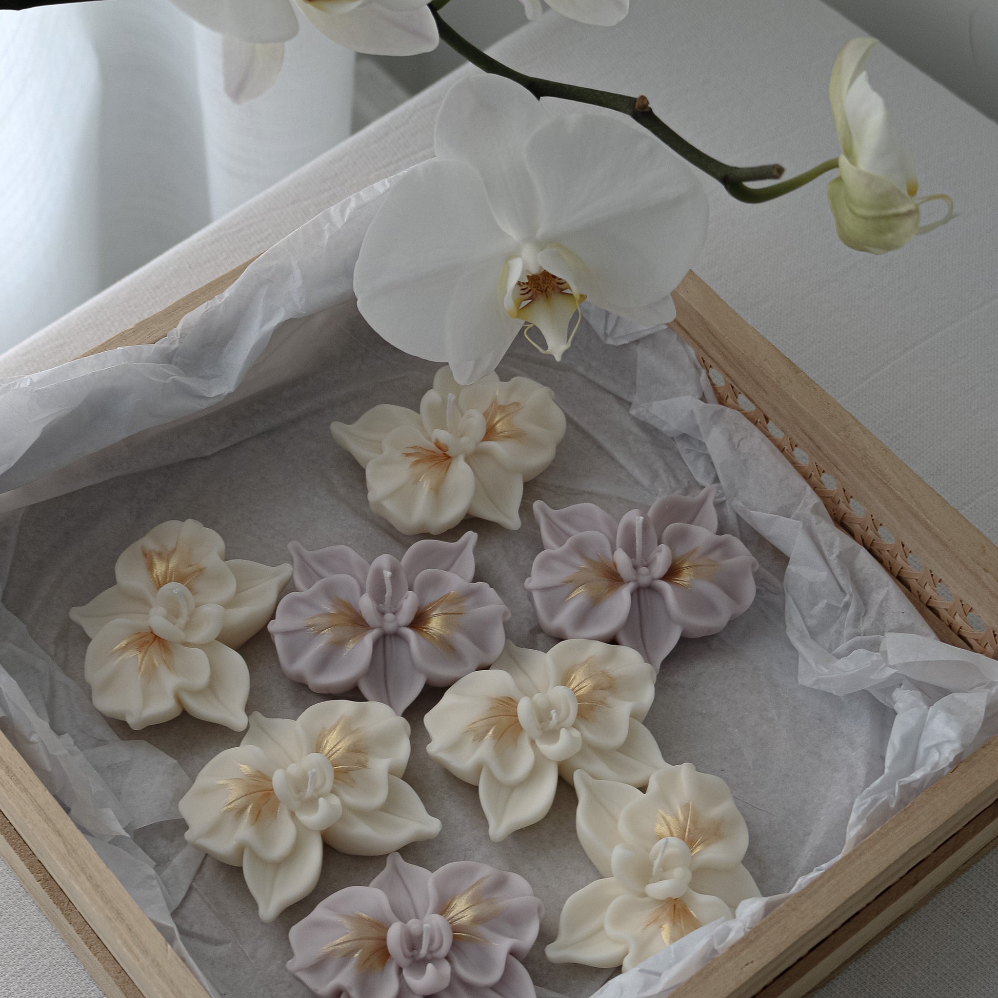 unique party favor decor